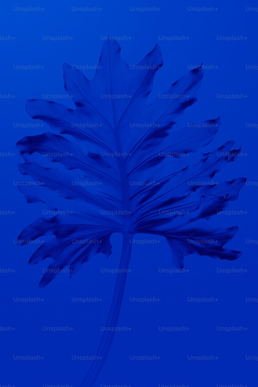 http://n.sinaimg.cn/news/transform/w600h400/20180313/b3S--fyscsmu9481833.jpg?zdy